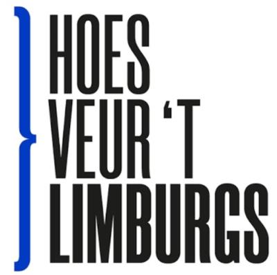 Cursus Mestreechs voor beginners