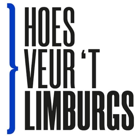 Cursus Mestreechs voor beginners